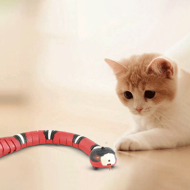 Slither Sprint™ Interactive Cat Toy - KanaGear