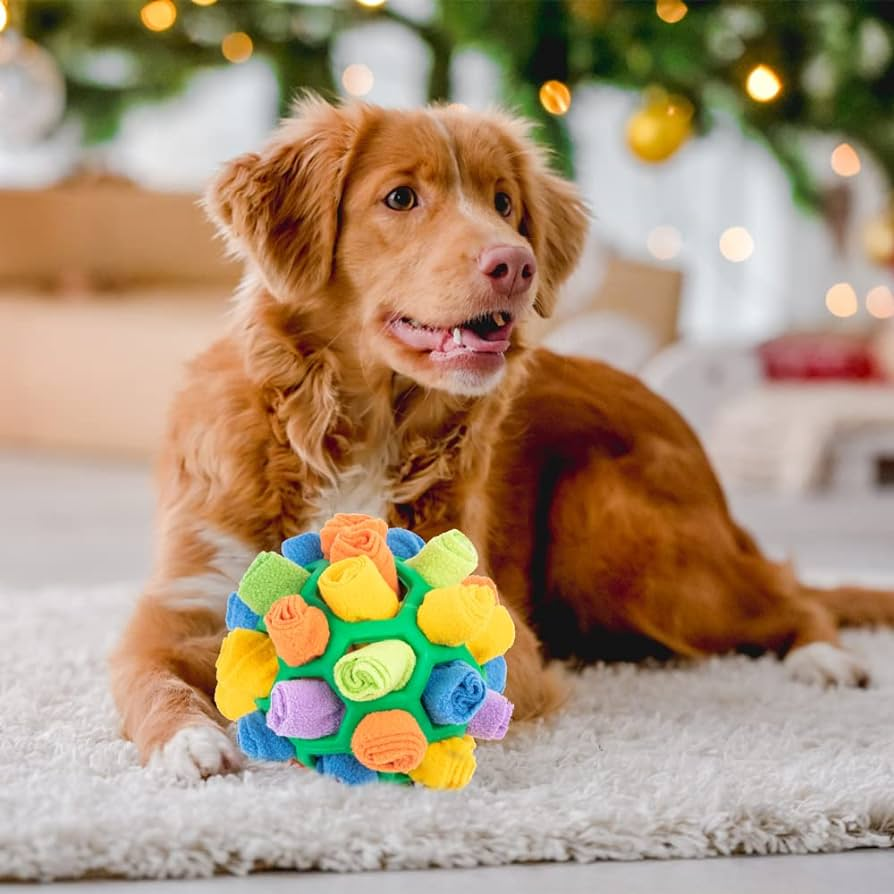 Snuffle Ball - Interactive Dog Activity – Pibble Pearls