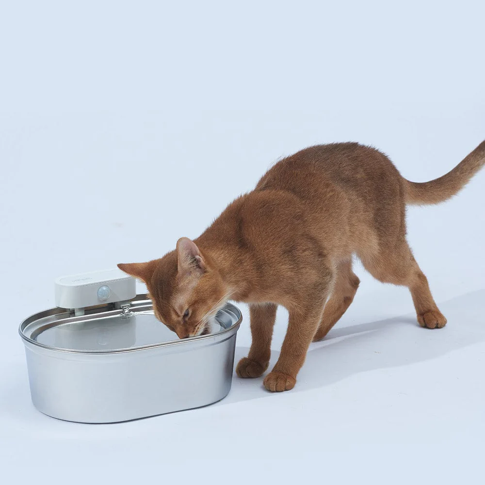 Stainless Steel Wireless Pet Water Fountain