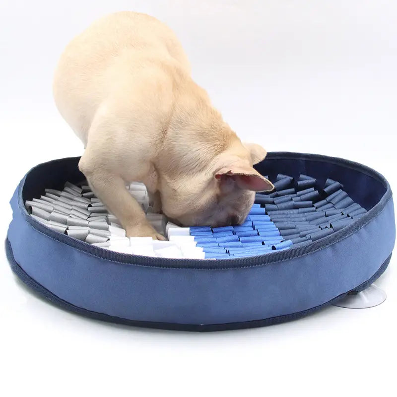 Pet Sniffing Pad