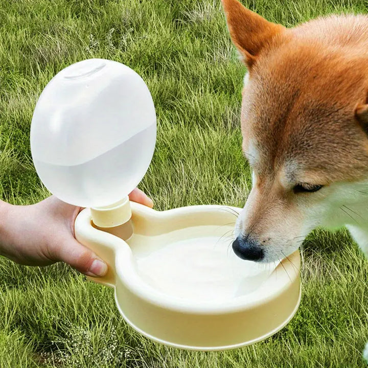 Portable Outdoor Dog Water Feeder