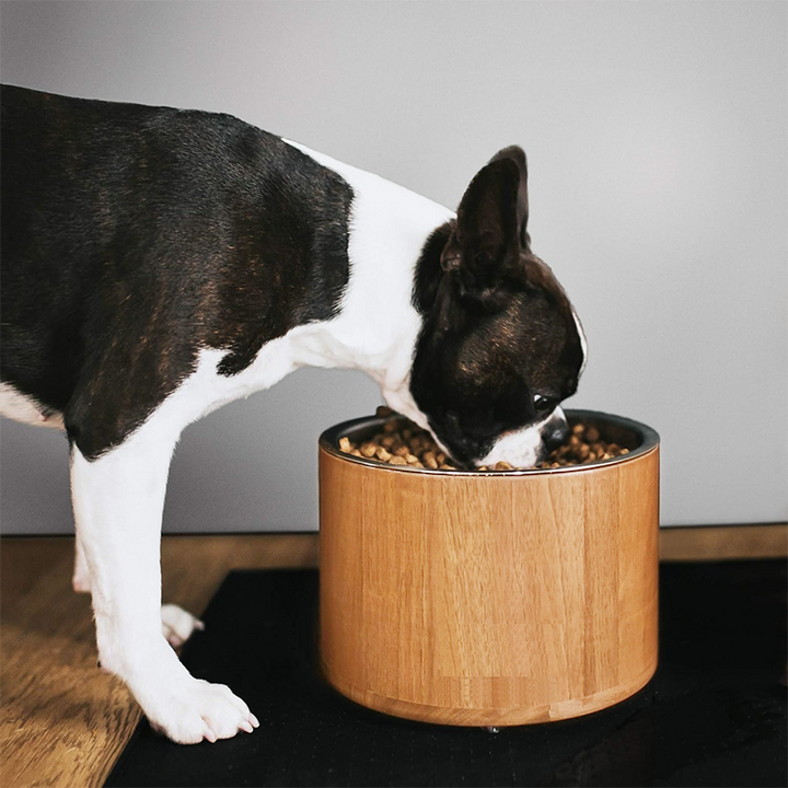 Solid Wood Stainless Steel Pet Bowl
