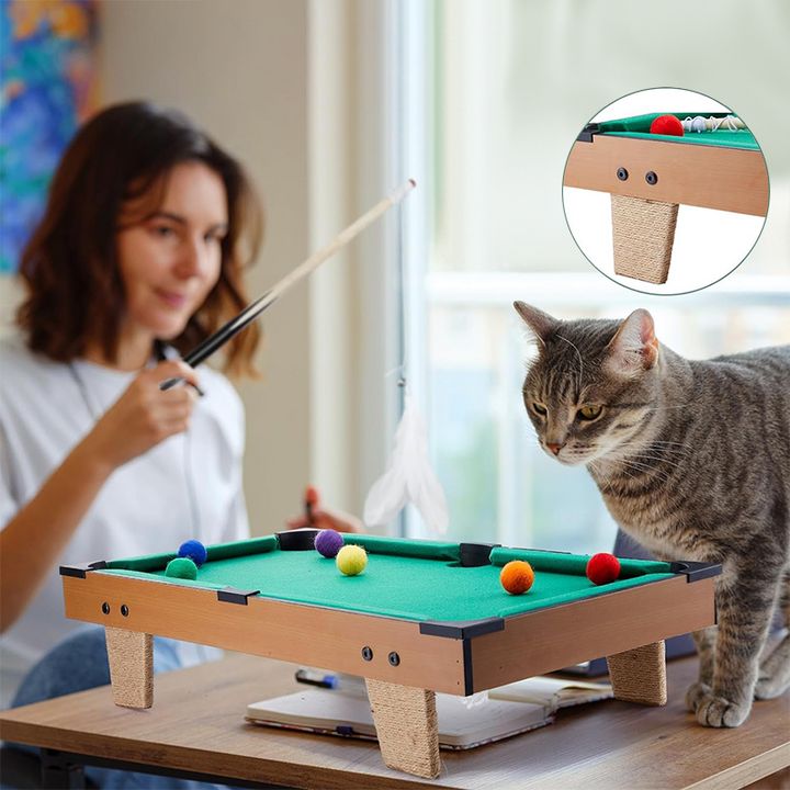 Mini Pool Table for Cat