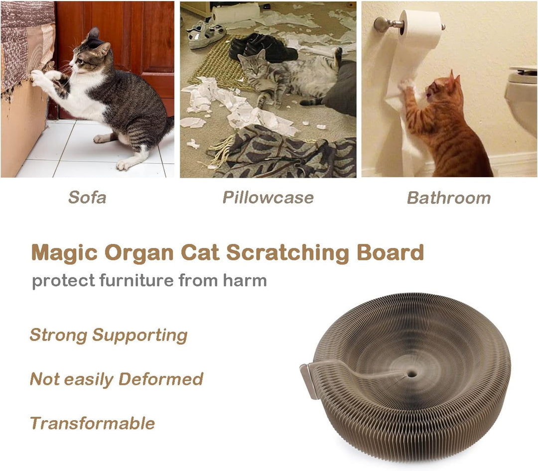 Magic Organ Cat Scratching Board with Cat Stick & Ball Recyclable