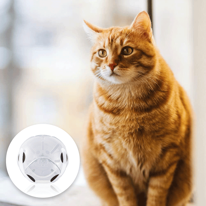 Pet Muzzle Breathable Transparent, Adjustable Pet Hood