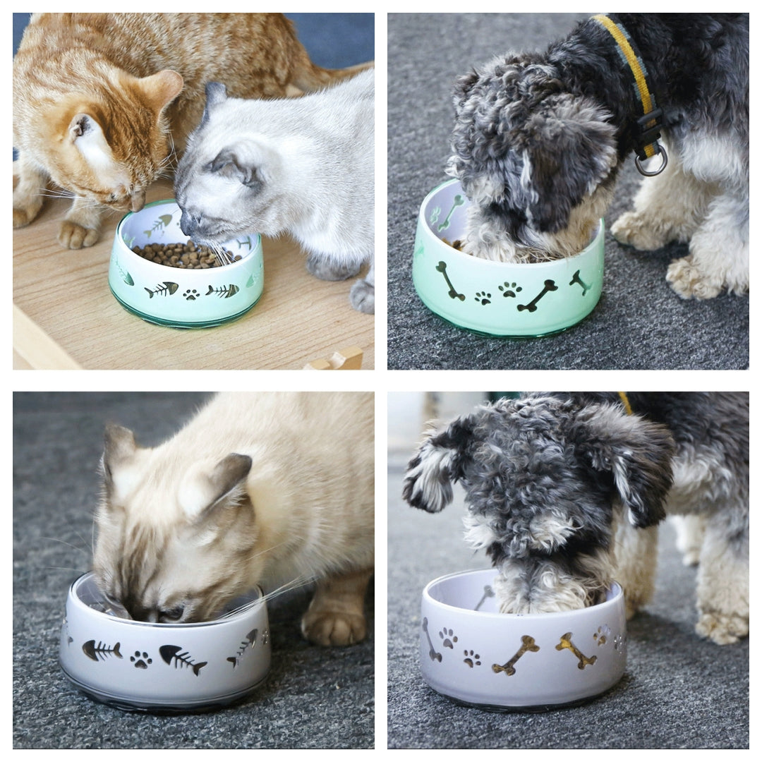 Transparent Acrylic Pet Bowl, Water Bowl