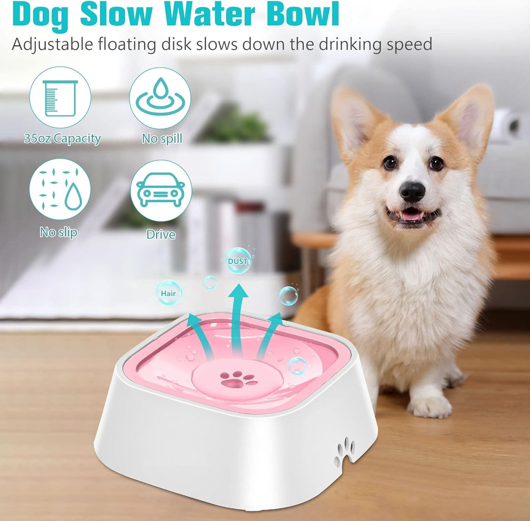 Pet Slow Water Feeder Bowl