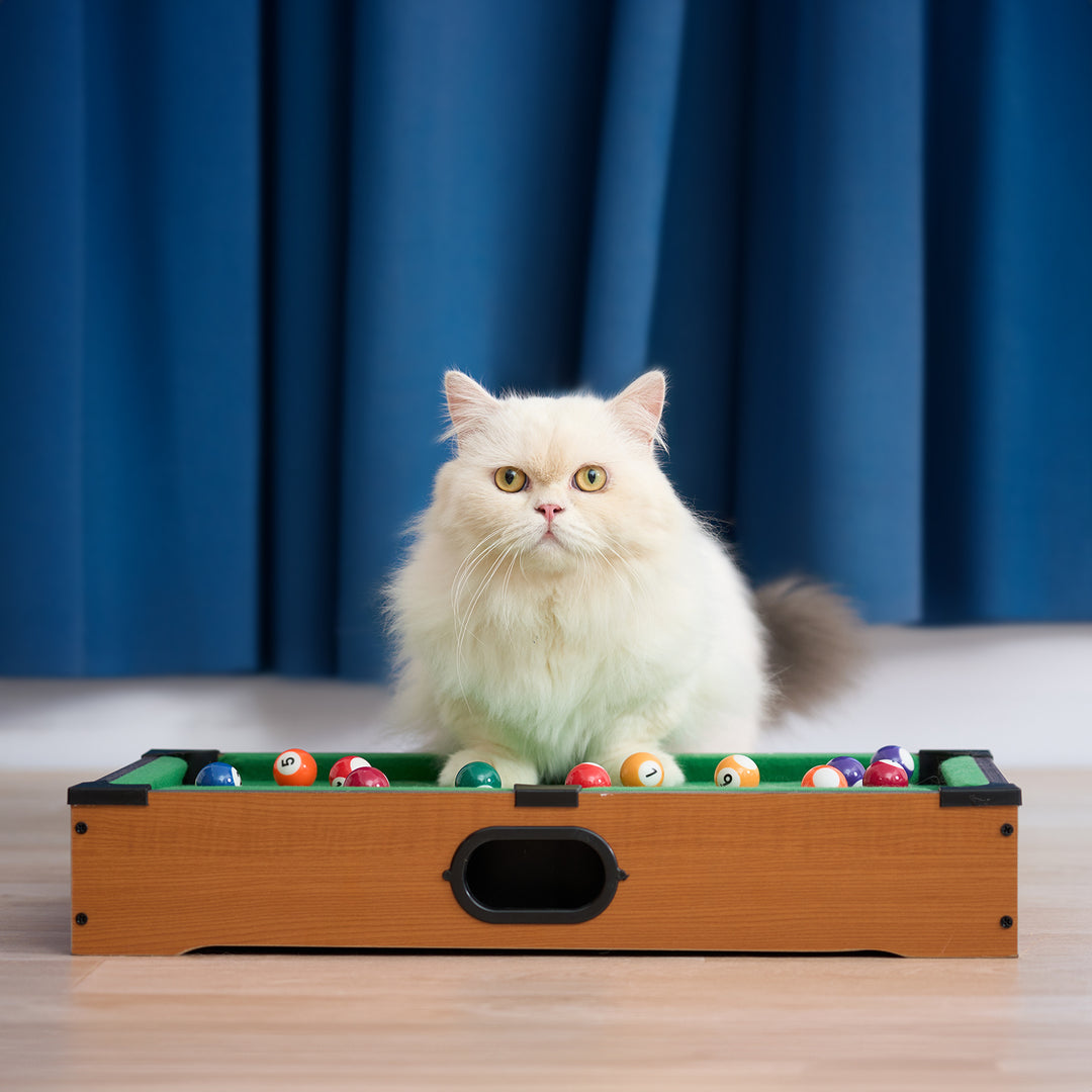 Mini Pool Table for Cat