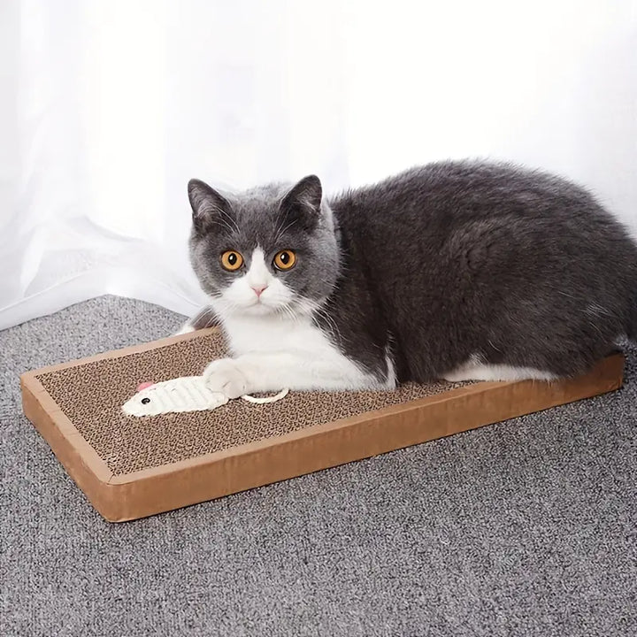 Cat Scratcher Pad, Scratching Board & Indoor Playing Toy