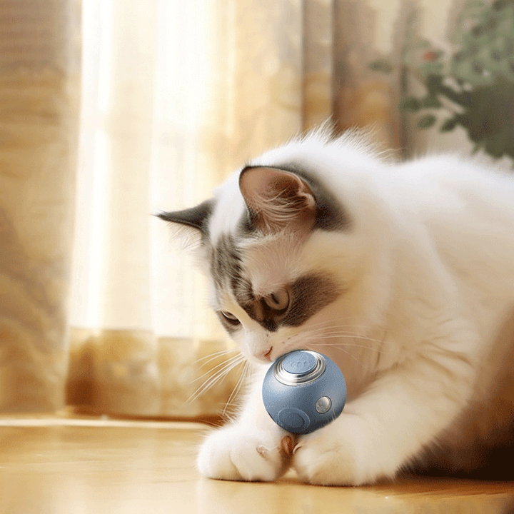 Smart Interactive Cat Toy, Automatic Ball with Lights and Bell