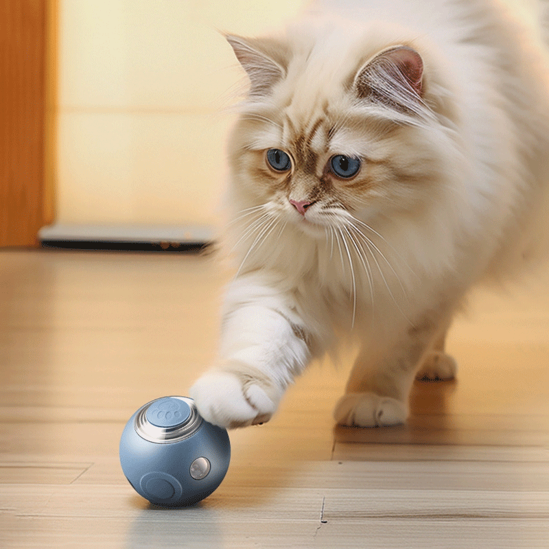 Smart Interactive Cat Toy, Automatic Ball with Lights and Bell