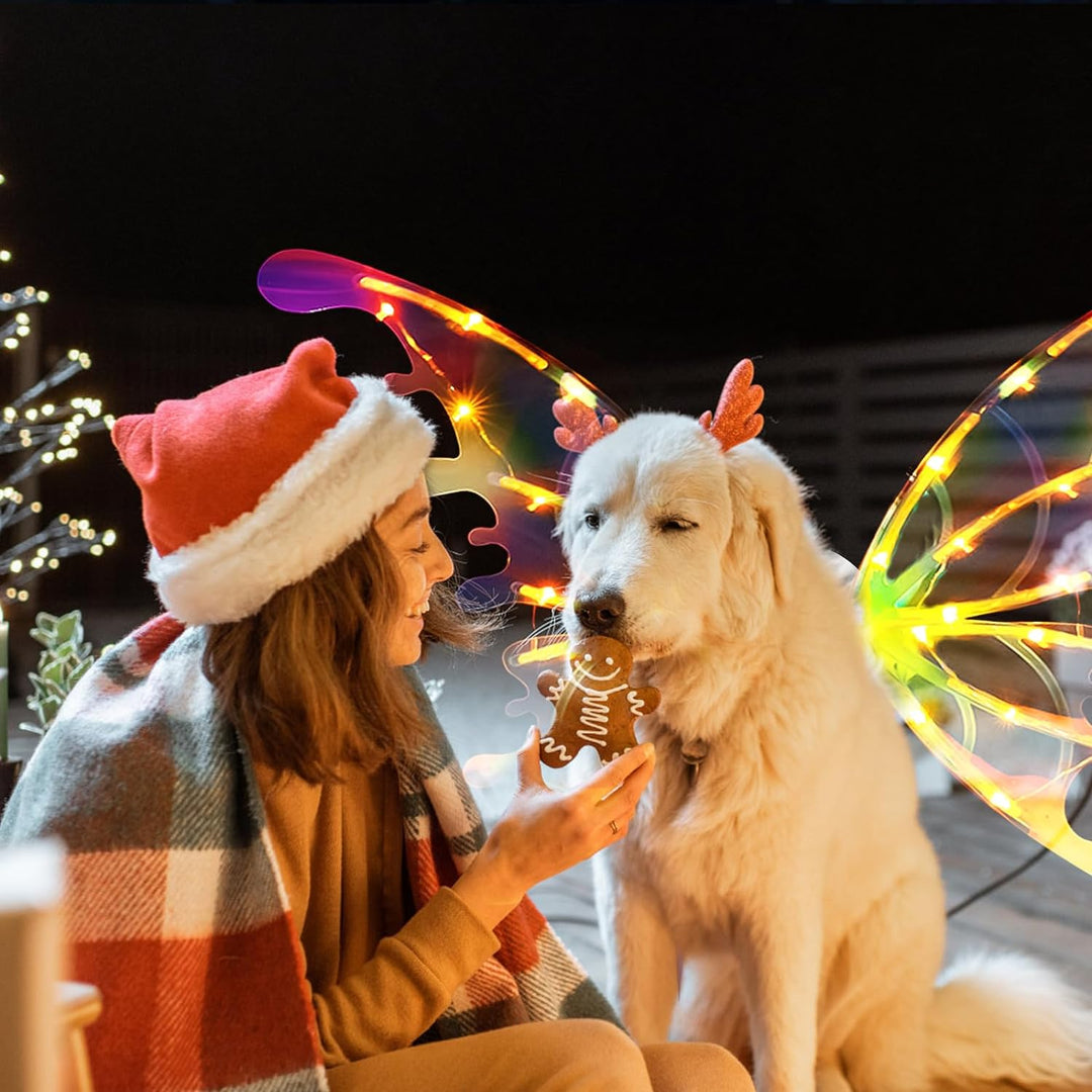 Pet Fairy Glowing Butterfly Wings with LED Lights and Music