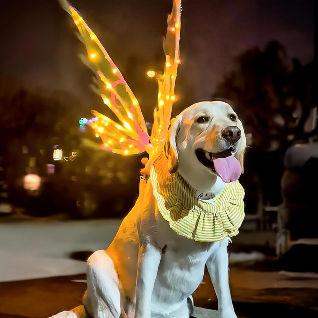 Pet Fairy Glowing Butterfly Wings with LED Lights and Music