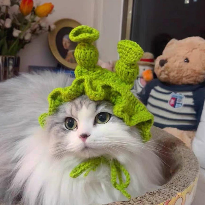 Handmade Crochet Pet Hat