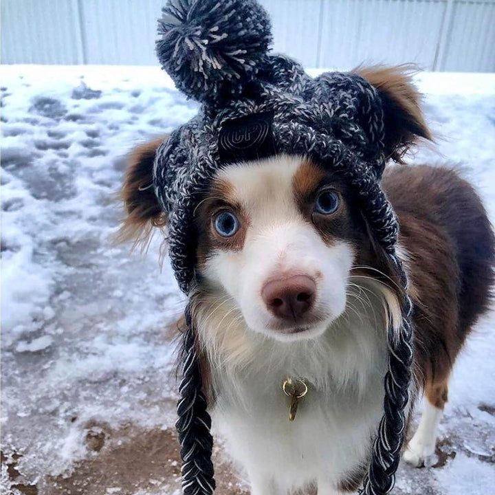 Polar Pom Pom Hat, Warm Pet Dog Knitted Hat