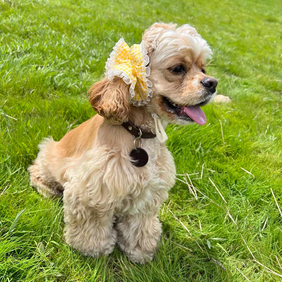 Handmade Dog Snood Set, Adjustable Buckle & No Buckle Set