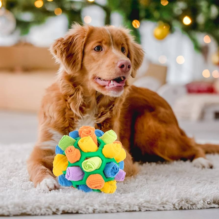 Snuffle Ball Interactive Treat Game for Dogs