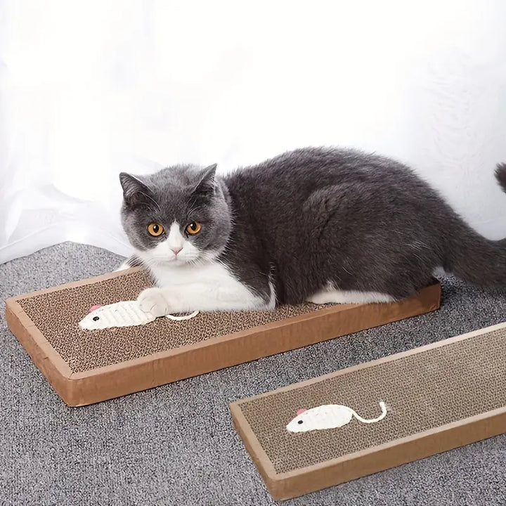 Cat Scratcher Pad, Scratching Board & Indoor Playing Toy