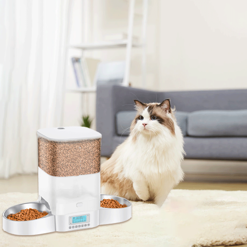 Automatic Cat Feeder for Two Cats