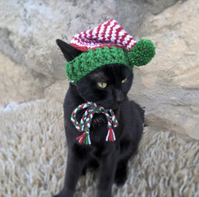 Handmade Crochet Pet Hat