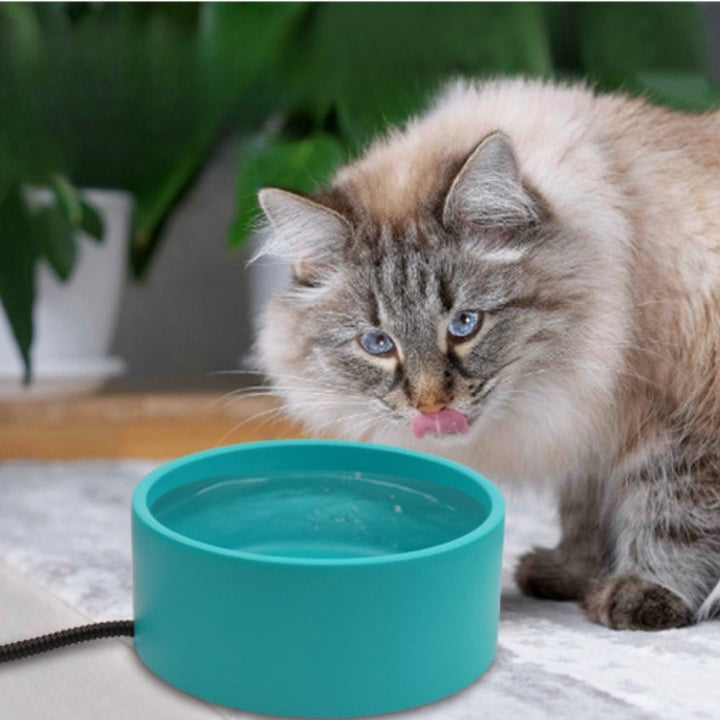 Outdoor Heated Food Bowl