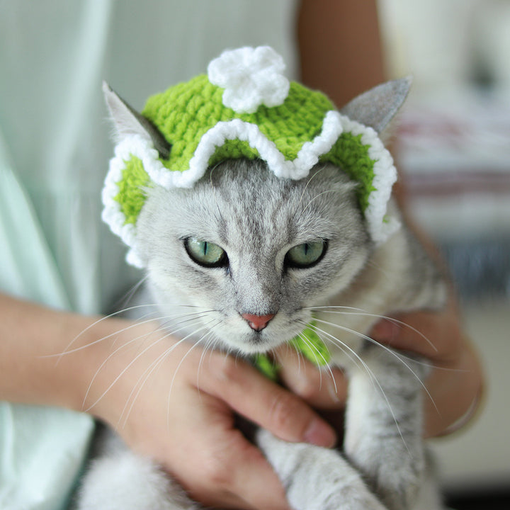 Handmade Crochet Pet Hat