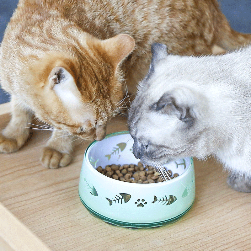 Transparent Acrylic Pet Bowl, Water Bowl