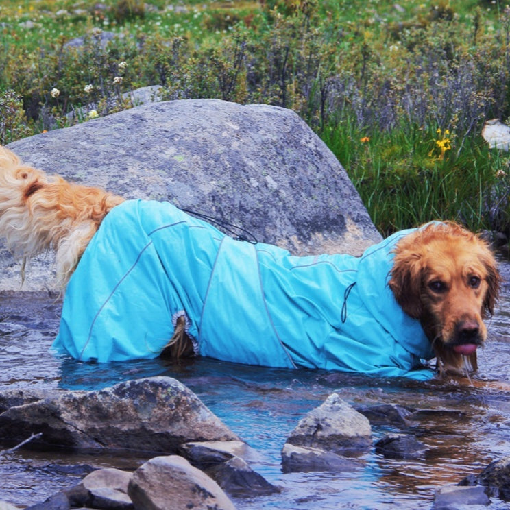 Large Dog Waterproof Jacket