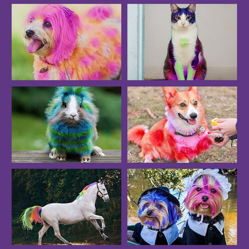 Washable Pet Fur Paint Dye For Your Pets Temporary Colors Hair Painting Pens– Set of 12