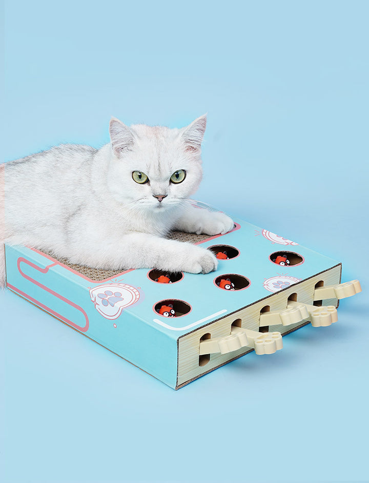 Cat Whack A Mole Toy with Scratching Pad, Relieve Boredom and Train IQ