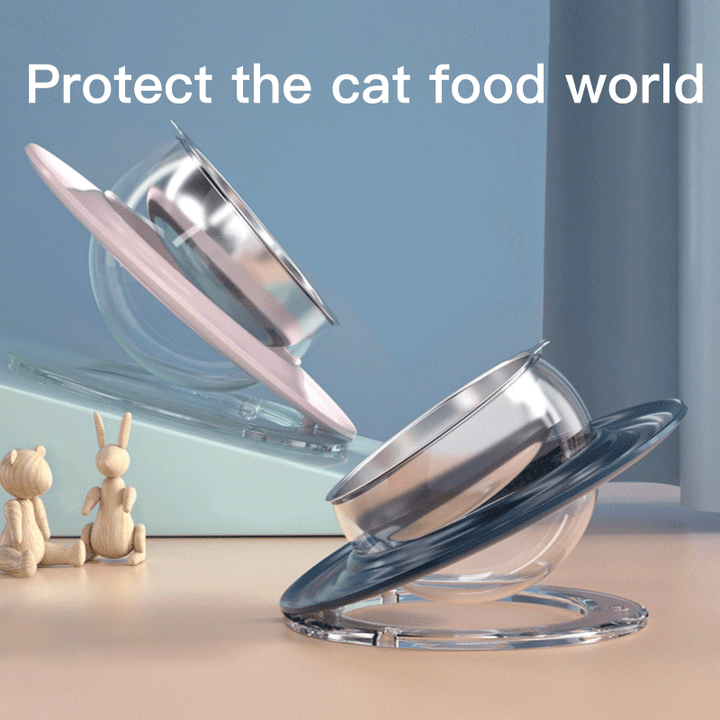 Cat Bowl Protection Cervical Spine Oblique