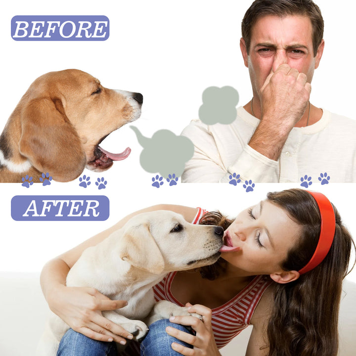 Dog Ultrasonic Teeth Cleaning Kit,Tooth Brushing