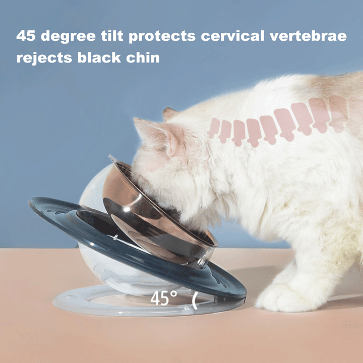 Cat Bowl Protection Cervical Spine Oblique