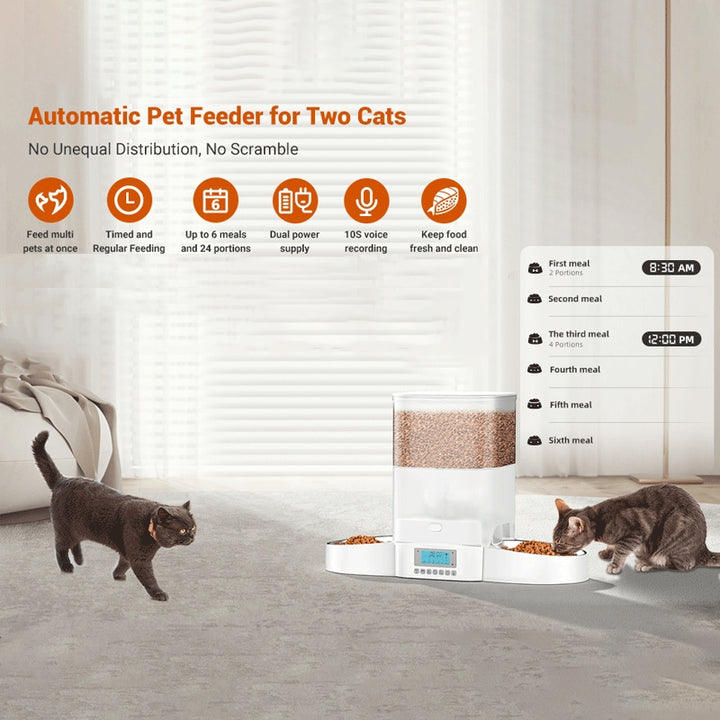 Automatic Cat Feeder for Two Cats