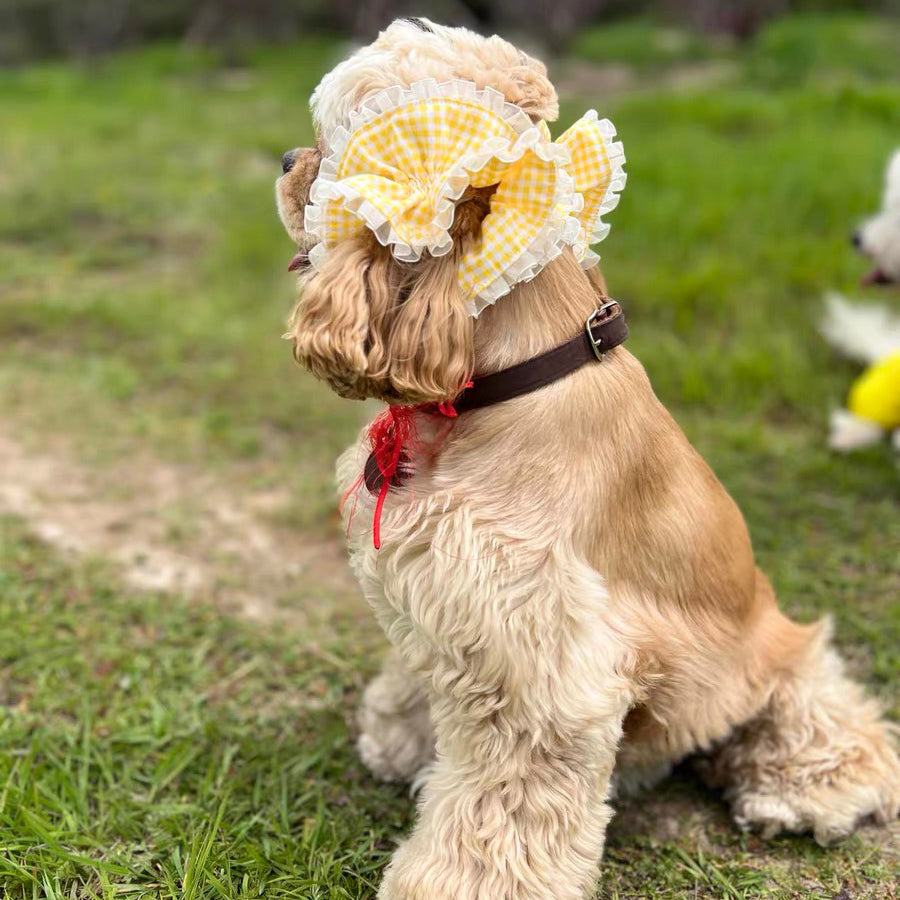 Handmade Dog Snood Set, Adjustable Buckle & No Buckle Set