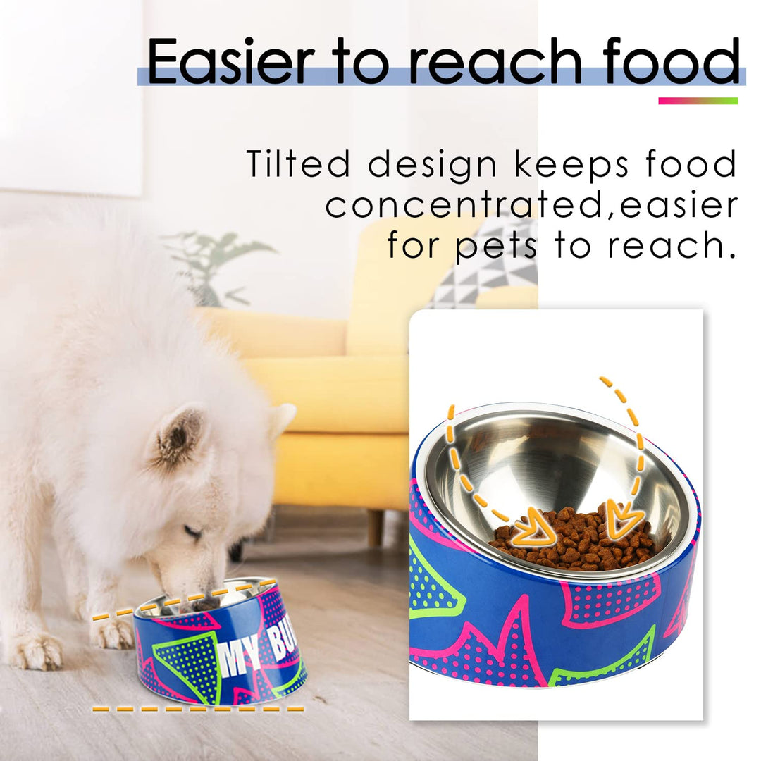 Colorful Raised Cat & Dog Bowls