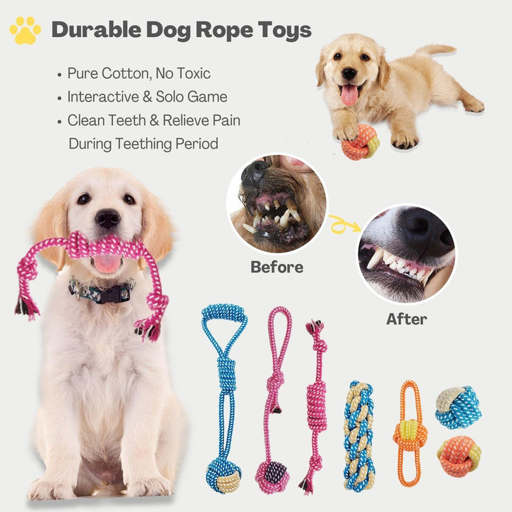 20 Pack Dog Chew Toys for Small Medium Dogs, Puppy Toys with Rope, Treat Balls and Squeaky Toys