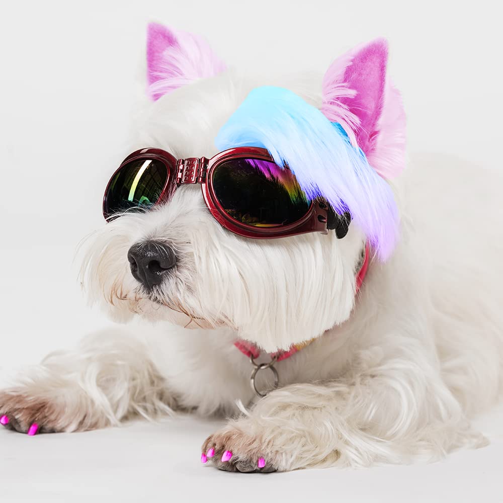 Washable Pet Fur Paint Dye For Your Pets Temporary Colors Hair Painting Pens– Set of 12