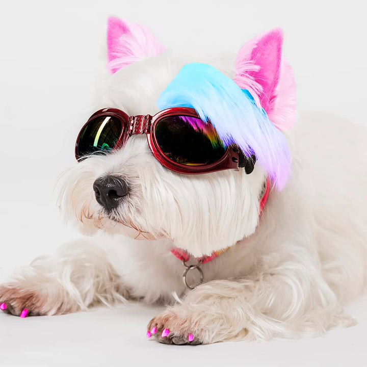 Washable Pet Fur Paint Dye For Your Pets Temporary Colors Hair Painting Pens– Set of 12