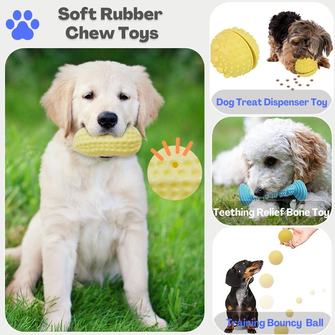 20 Pack Dog Chew Toys for Small Medium Dogs, Puppy Toys with Rope, Treat Balls and Squeaky Toys