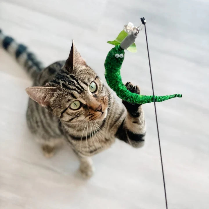 Interactive Worm Simulation Cat Toy Set